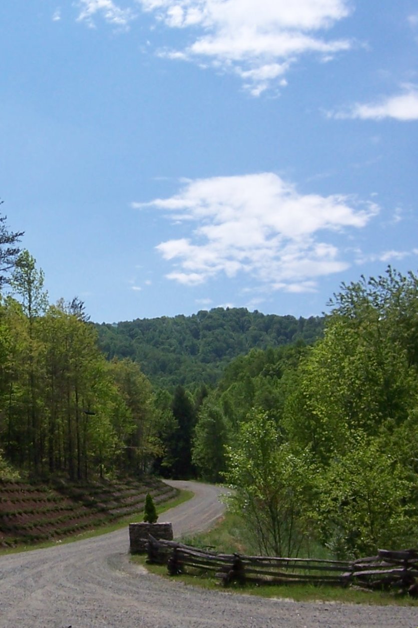 entrance to Stagebridge