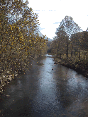 Rockfish River