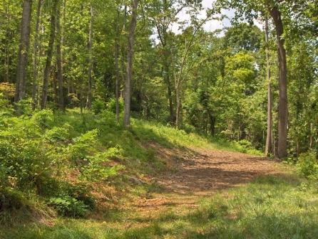 views of rolling hills on lot 12