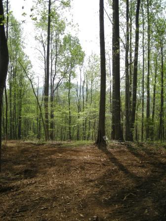 View of lot 12 homesite