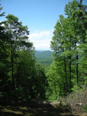 Lot 11 homesite and view