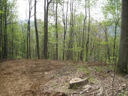 View of lot 12s homesite and distant views